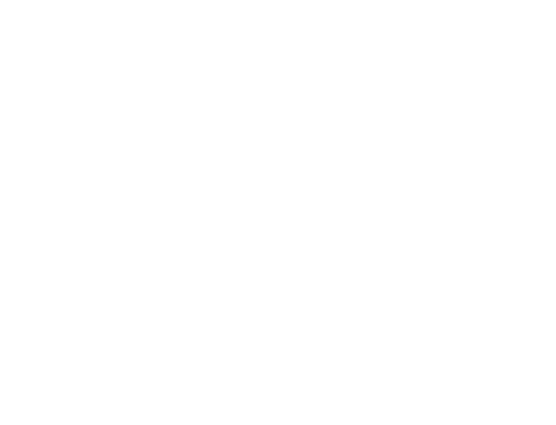 Eventpyrotechnik Scherr